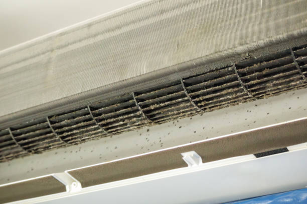 Air Duct Mold Removal in Gila Bend, AZ